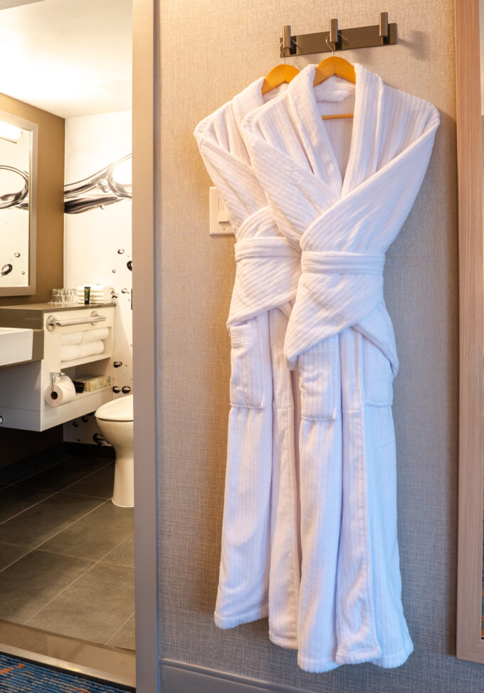 Accessible Room - View of bathroom